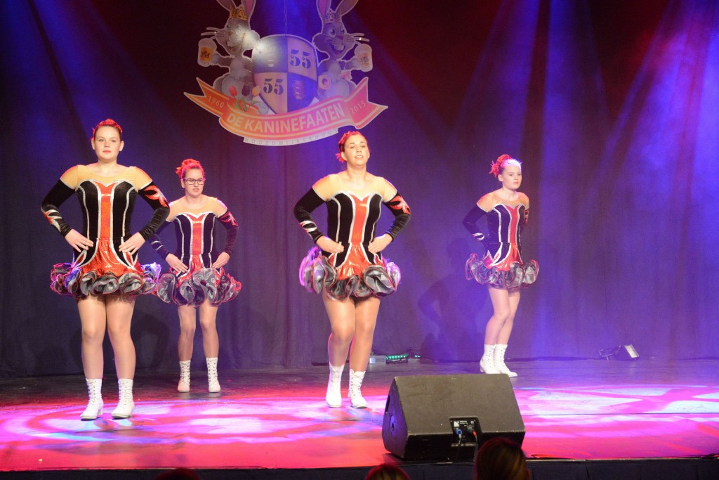 ../Images/Dansmarieke festival 2015 236.jpg